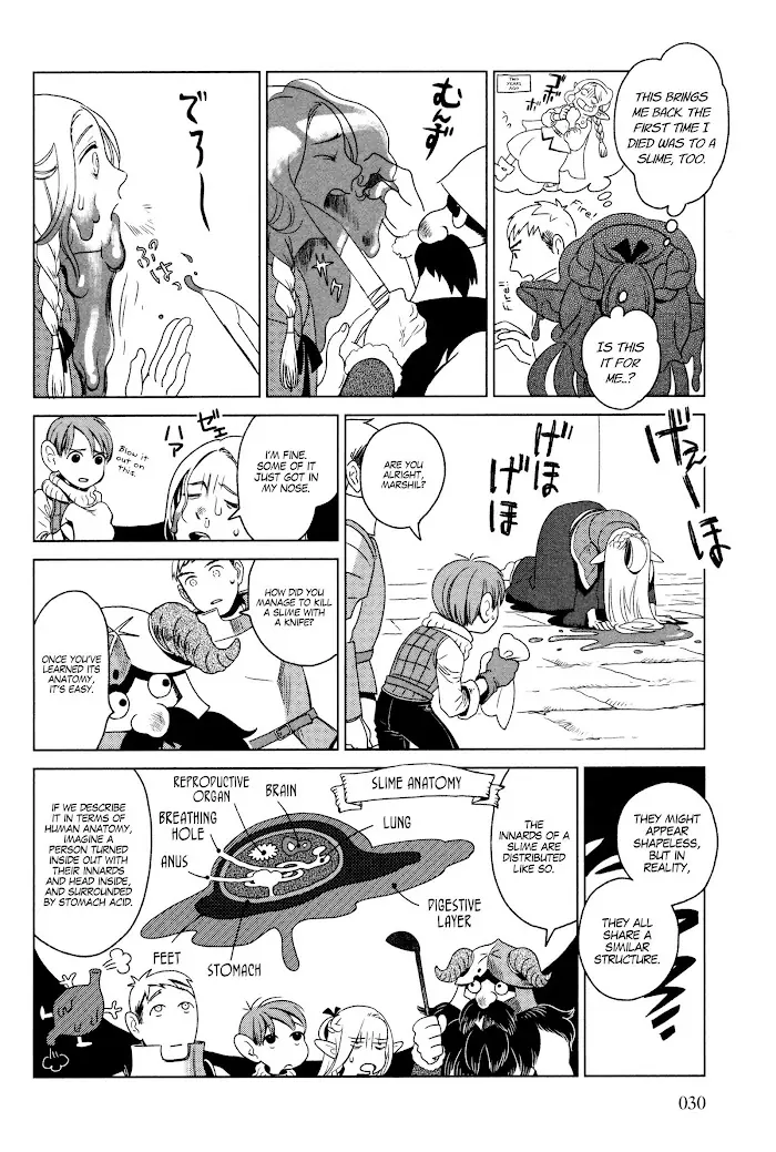 Delicious in Dungeon Chapter 1 image 30_optimized